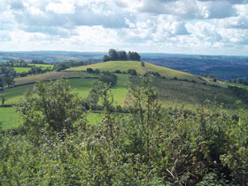 sit on the patio and enjoy green and pleasant surroundings